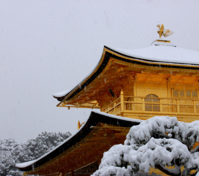 上賀茂神社~每月僅限一日的手作市集→京都老宅內享用蕎麥麵→金閣寺→京都鐵道博物館→日式居酒屋+軟性飲料放題