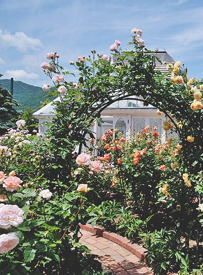 浪漫城市~白色戀人公園→小樽運河→小樽堺町通→三井Outlet自由血拚大採購