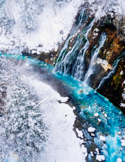 美瑛青池→白鬚瀑布→精靈露臺→札幌市區飯店