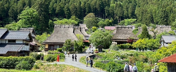 美山茅草屋