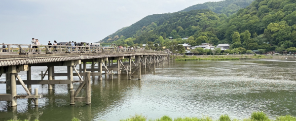 京都嵐山(渡月橋.竹林小徑.野宮神社.嵐山商店街)→京都小合掌村之稱~美山茅草屋→入住天橋立飯店