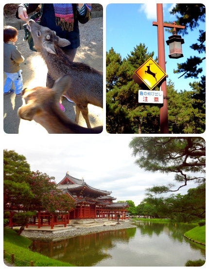 ①大阪難波八阪神社→平等院→宇治神社→東大寺.奈良公園 ②祇園八幡神社→清水寺→伏見稲荷大社千鳥居 (行程2擇1)