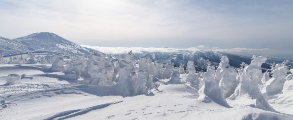 雪景