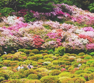 日本文昌~太宰府天滿宮~表參道→福岡最美~武雄圖書館→佔地超過50 萬平方公尺~御船山楽園