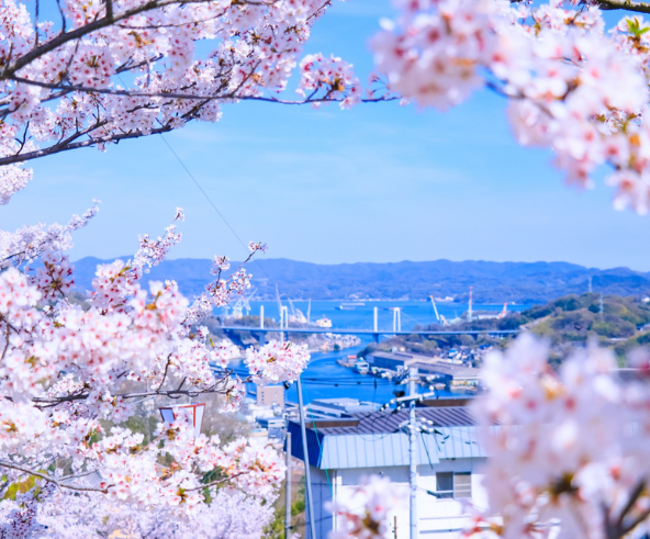 廣島空港→返回台灣
