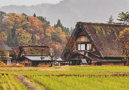 世界文化遺產-最美童話小鎮白川鄉合掌村(民家園+眺望台)→入住溫泉飯店泡湯
