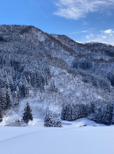 《方案3》雪國私人農舍&高根雪裡山公園【兩天一夜活動】