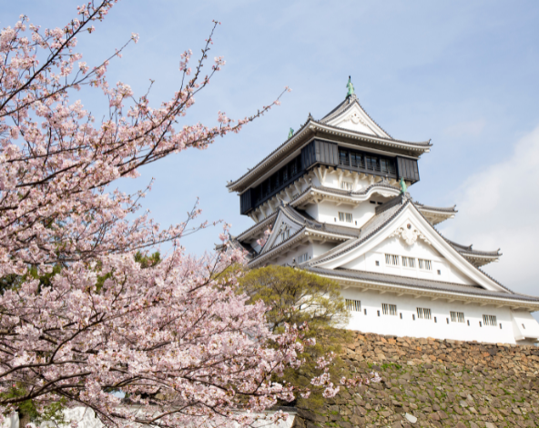 鈦美旅行社-日本員工旅遊九州旅遊推薦