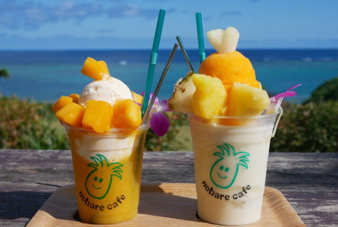 桃園出發→石垣空港→石垣島最北端~平久保燈塔→一覽北半球最大珊瑚礁聚落~玉取崎展望台→熱帶水果農場下午茶