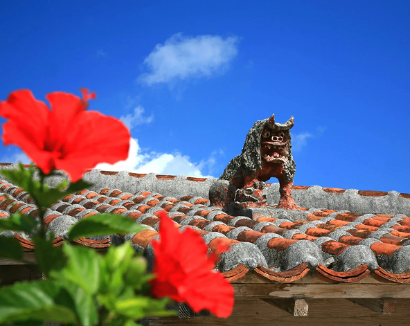 跳島日~離島碼頭乘船至竹富島~搭乘水牛車.漫步星砂海灘.古民家食堂→石垣島市區公設市場→夜訪南國星空