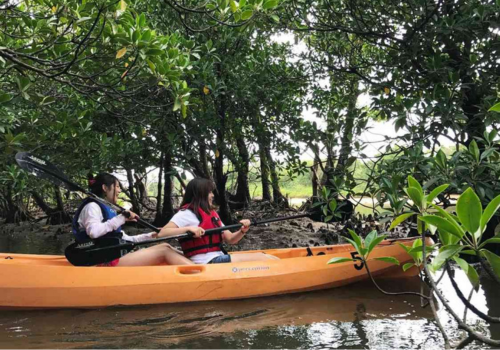 自由活動日~可自費加購浮潛.獨木舟.海豚共游..等行程