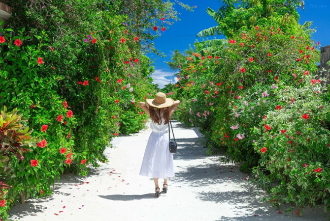 石垣島空港→返回台灣