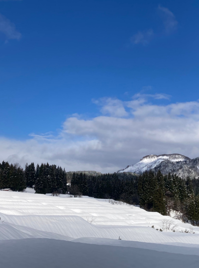 《方案3》雪國私人農舍&高根雪裡山公園【兩天一夜活動】