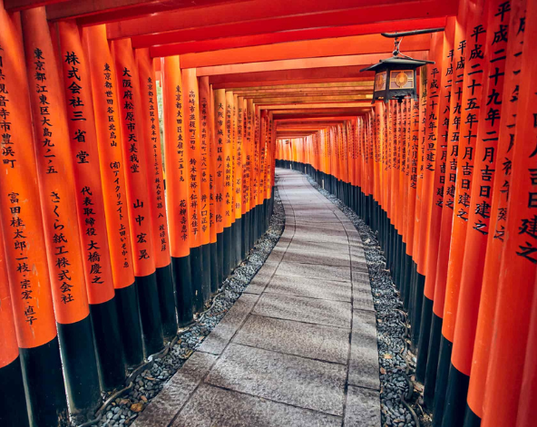 金閣寺→伏見稻荷大社~千鳥居→宇治遊船→世界遺產~平等院→入住大阪市區飯店