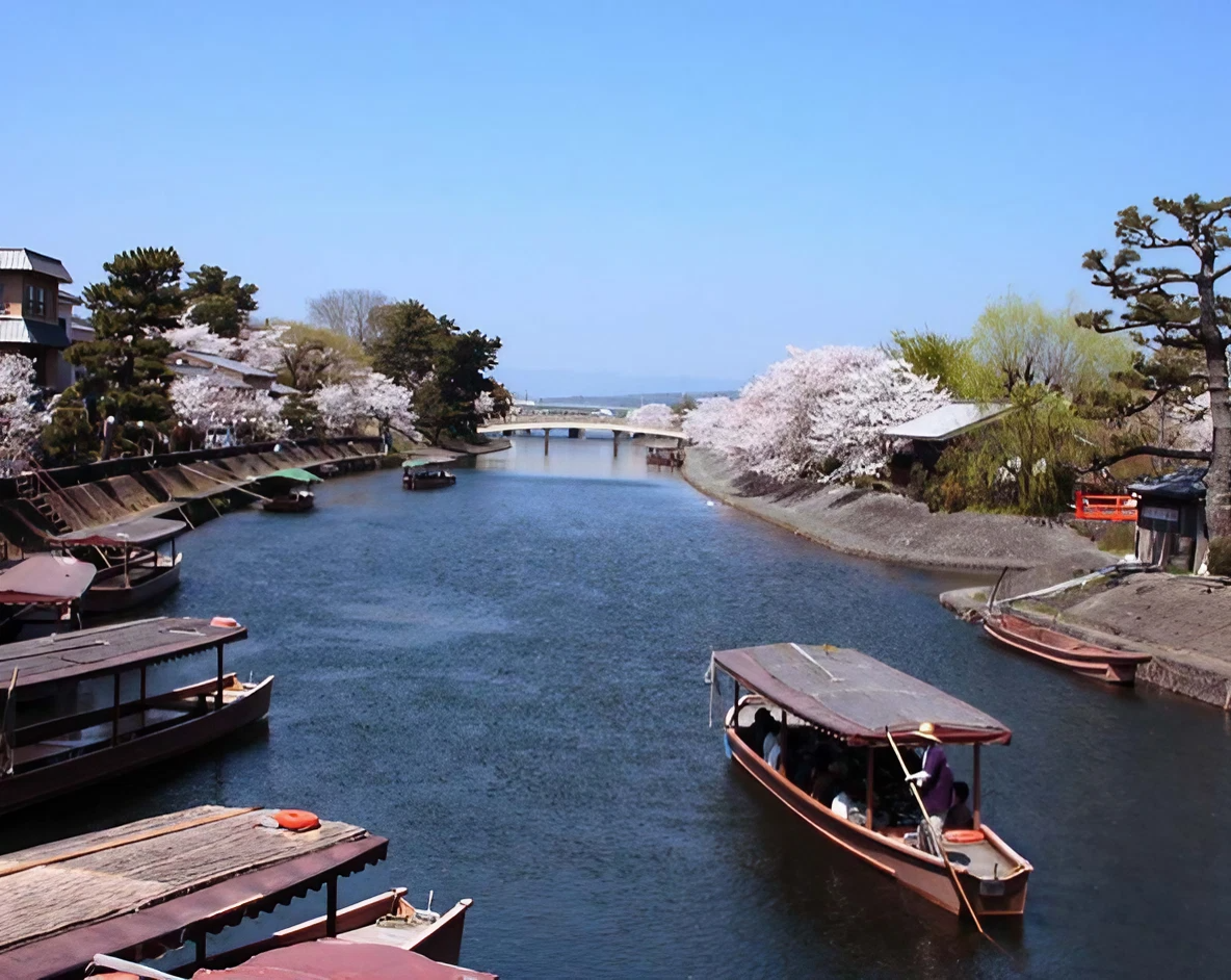 金閣寺→伏見稻荷大社~千鳥居→宇治遊船→世界遺產~平等院→入住大阪市區飯店