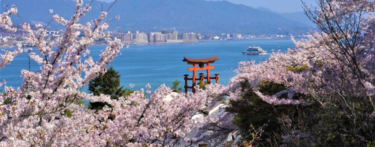 搭乘渡輪至日本三景~宮島一日遊:海上鳥居~嚴島神社→宮島參道老街→瀨戶內海絕景~宮島纜車→入住溫泉飯店