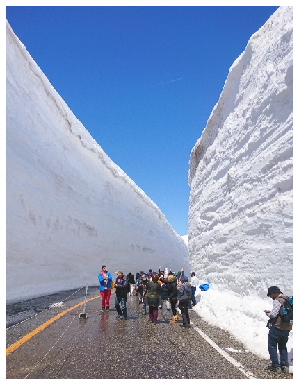 立山黑部一日遊:壯麗奇景~立山雪壁→鬼斧神工~黑部水庫→北陸新幹線體驗→富山市區