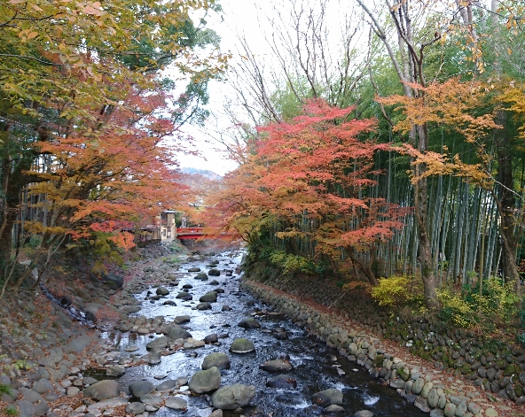 城崎海岸、門脇吊橋→下田港、黑船→青之洞窟、堂島天窗洞→修善寺溫泉