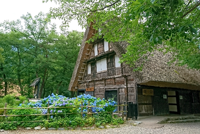 合掌村瞭望台→民家園→合掌村村落→入住高山溫泉飯店