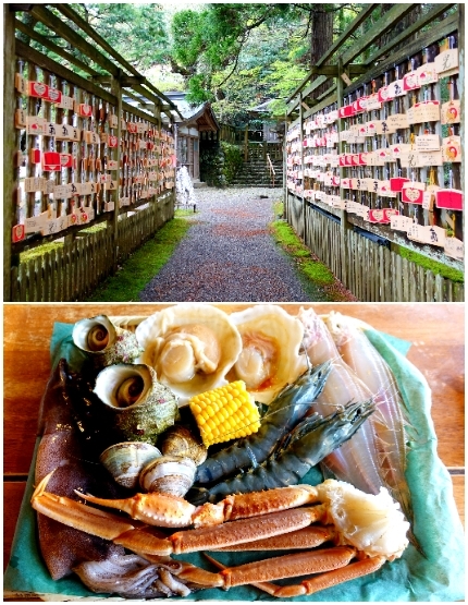 能登國一宮~氣多大社→能登食祭市場→登七尾城瞭望台→和倉溫泉總湯