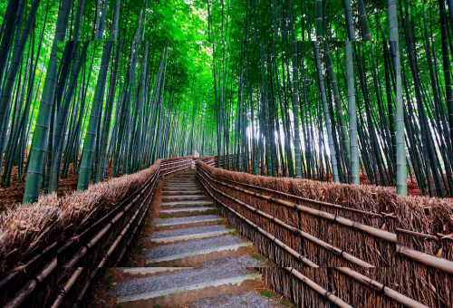 京阪神經典散策五日~嵐山竹林、清水寺、美山合掌村、伏見稻荷大社、宇治平等院、大阪自由行 五日 京阪神經典散策五日~嵐山竹林、清水寺、美山合掌村、伏見稻荷大社、宇治平等院、大阪自由行 五日