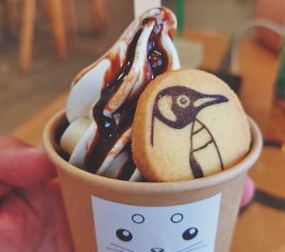 日本最北~旭山動物園一日遊(企鵝遊行~水底隧道~明星北極熊~海豹館~可愛浣熊)→前往札幌市區