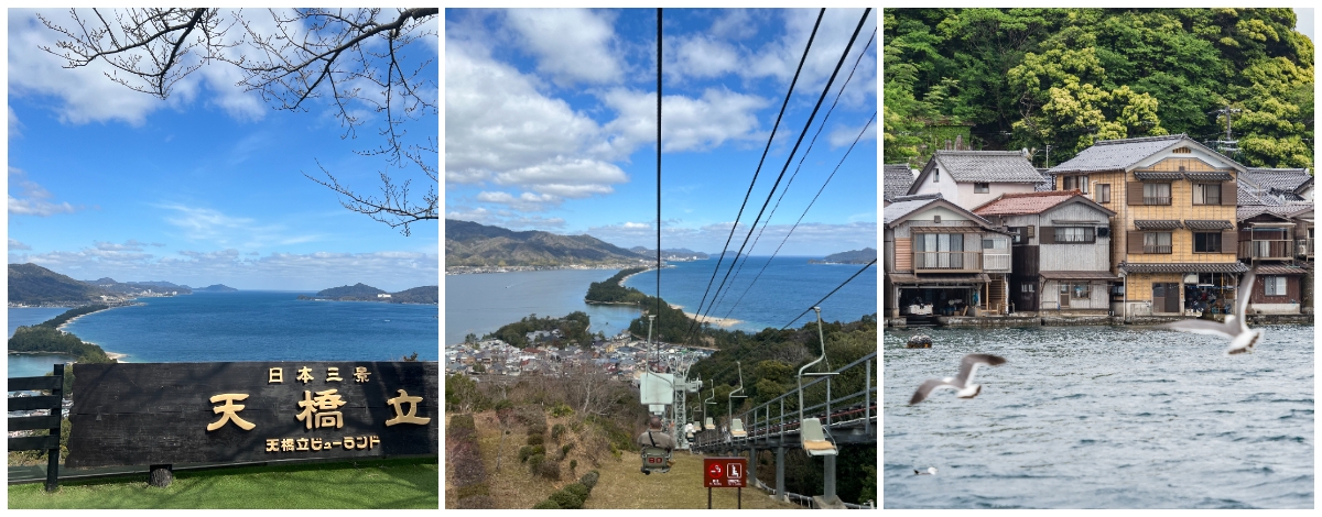 伊根船屋群x伊根灣遊船餵海鷗→日本三大美景~天橋立