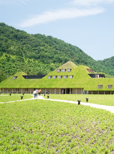 La Collina 莊園