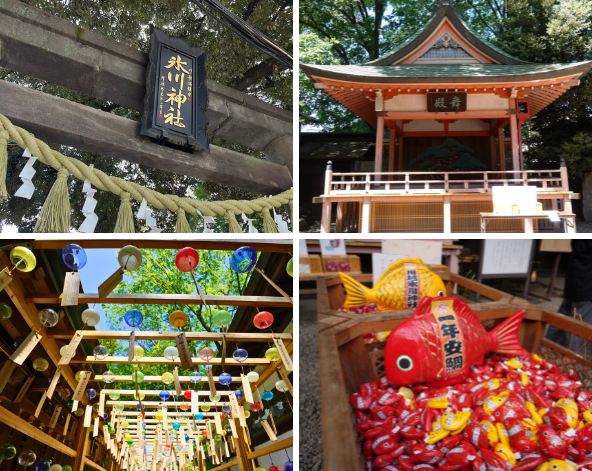 戀愛結緣鯛魚籤~冰川神社→小江戶川~川越老街→東京市區