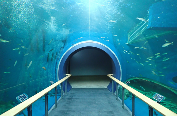 琵琶湖博物館水族展示室⭢燒肉定食⭢日清泡麵博物館⭢日式居酒屋