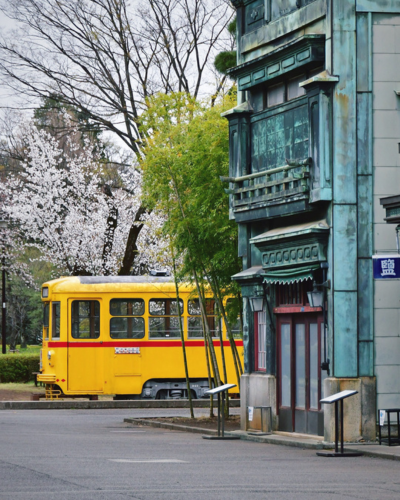 招福貓發源地~豪德寺→秒穿江戶時代,神隱少女油屋原型~江戶東京建築園(每周一休館)