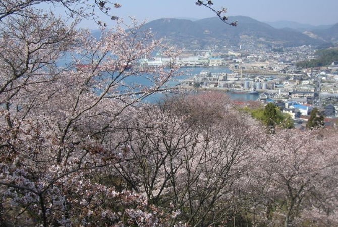 桃園出發→廣島空港→有貓出沒!尾道貓之細道→跨海公路~島波海道→櫻花秘境~伯方島開山公園→三原市區飯店