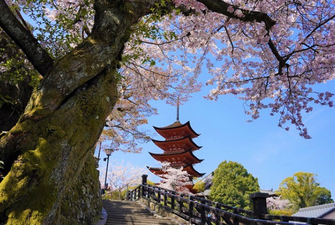 搭乘渡輪至日本三景~宮島一日遊:海上鳥居~嚴島神社→宮島參道老街→瀨戶內海絕景~宮島纜車→入住溫泉飯店