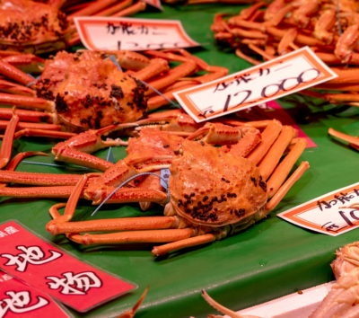 日本百大名城~金澤城&兼六園→金澤人的廚房近江町市場→東茶屋街→金澤百番街→金澤飯店