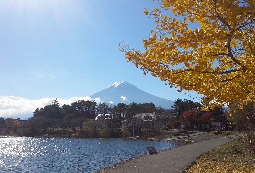 【富士伊豆-美食．溫泉．絕景】伊豆半島、河口湖、東京自由行，經典旅程 5日