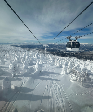 #東北。滑雪課程 藏王滑雪、銀山溫泉、狐狸村、藏王樹冰 六日 #東北。滑雪課程 藏王滑雪、銀山溫泉、狐狸村、藏王樹冰 六日