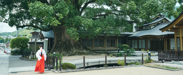 鈦美旅行社-日本員工旅遊九州旅遊推薦