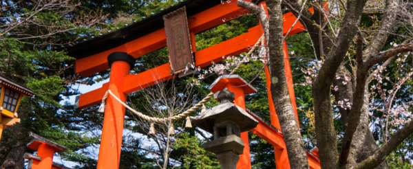 河口湖自然生活館→河口湖大池公園→賞富士名所~新倉山淺間大社