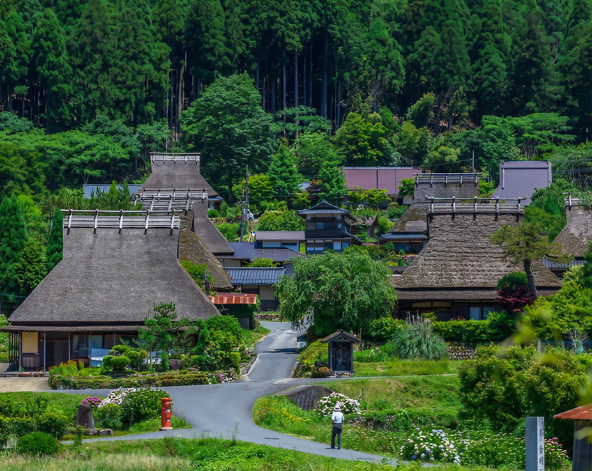 嵐山半日遊：渡月橋、竹林小徑、野宮神社→京都美山合掌村→入住京都市區飯店