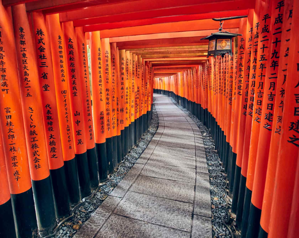 金閣寺→伏見稻荷大社~千鳥居→宇治遊船→世界遺產～平等院→入住大阪市區飯店