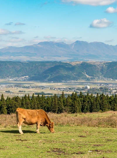 草千里、阿蘇火山