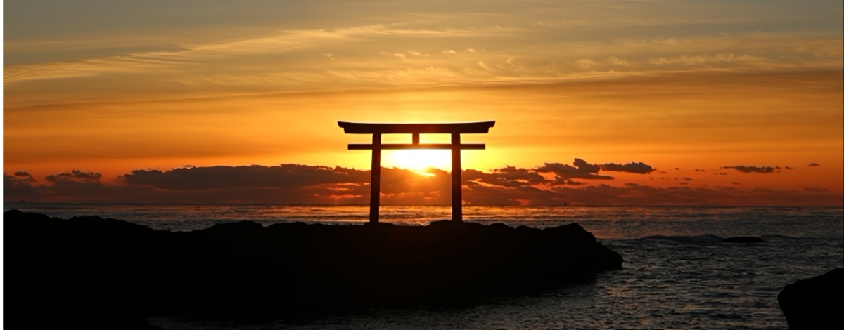 桃園→成田→海上鳥居《大洗磯前神社》→冬季當地限定x鮟鱇魚鍋→日本好事多(採買食材、日用品跟自己喜歡的東西)