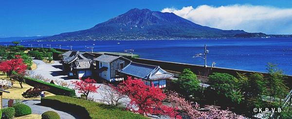 島津家別邸~世界文化產《仙巖園》遠眺活火山-櫻島&品嘗武士兩棒餅(可自費體驗和服/藝術/水上等體驗課程)→溫泉飯店check in→飯店內享用晚餐&自由享受露天溫泉