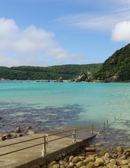 頓泊海岸