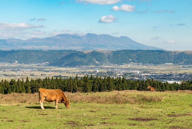 草千里ヶ浜