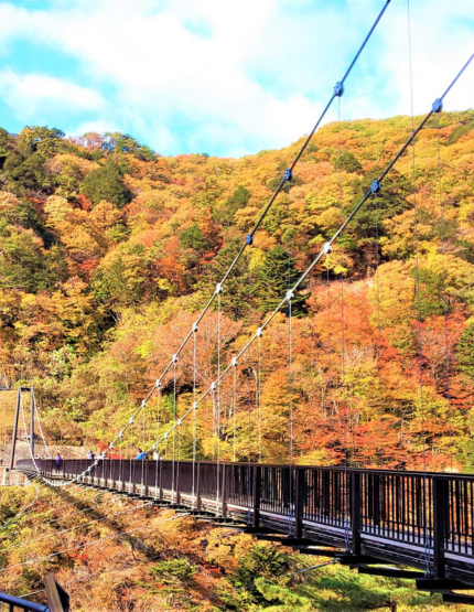 鬼怒楯岩大吊橋