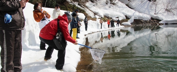 雪國體驗