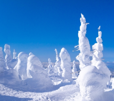 雪景