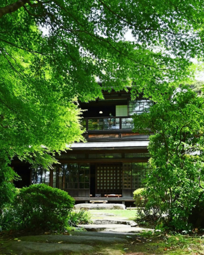 招福貓發源地~豪德寺→秒穿江戶時代，神隱少女油屋原型~江戶東京建築園(每周一休館)