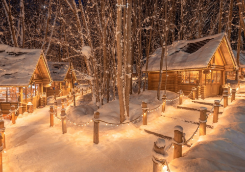 美瑛青池→白鬚瀑布→精靈露臺→札幌市區飯店